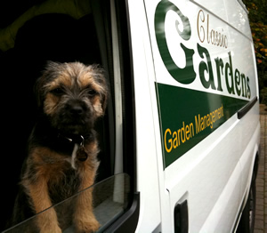 The Classic Gardens Mascot